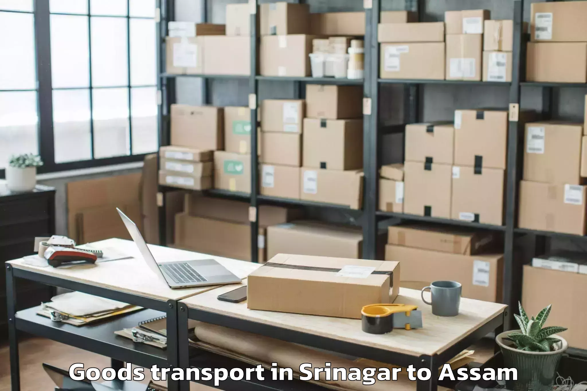 Top Srinagar to Bokajan Goods Transport Available